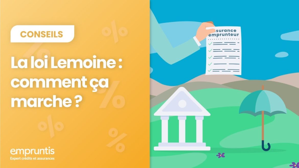 La loi Lemoine décryptée : les clés d&rsquo;une protection efficace et accessible