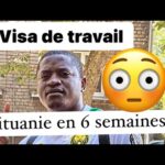 Obtenez votre visa de travail en lituanie, malte ou république : le guide essentiel en moins de 6 semaines