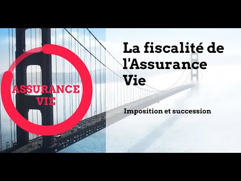 La fiscalité de l&rsquo;assurance vie : décryptage des enjeux fiscaux et patrimoniaux