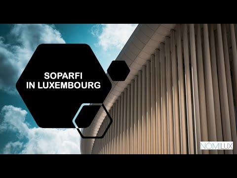 Soparfi et le paysage fiscal luxembourgeois : stratégies d&rsquo;optimisation pour les sociétés de gestion et investisseurs avertis